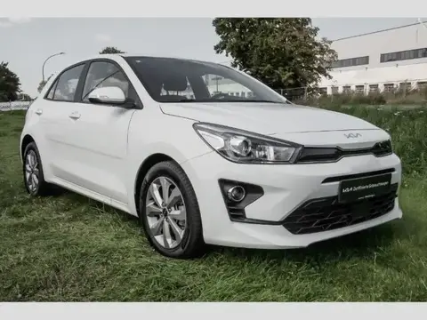 Annonce KIA RIO Essence 2022 d'occasion 