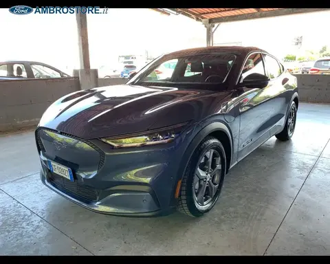 Used FORD MUSTANG Not specified 2021 Ad 