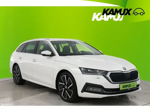 Used SKODA OCTAVIA Diesel 2020 Ad 