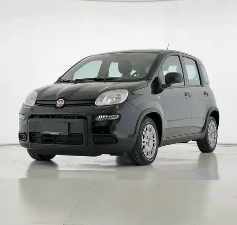 Used FIAT PANDA Hybrid 2024 Ad 