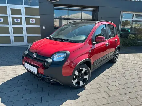 Annonce FIAT PANDA Essence 2024 d'occasion 