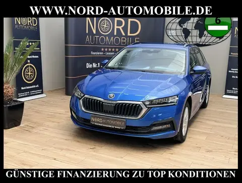 Annonce SKODA OCTAVIA Diesel 2022 d'occasion 