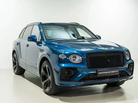 Used BENTLEY BENTAYGA Petrol 2023 Ad 