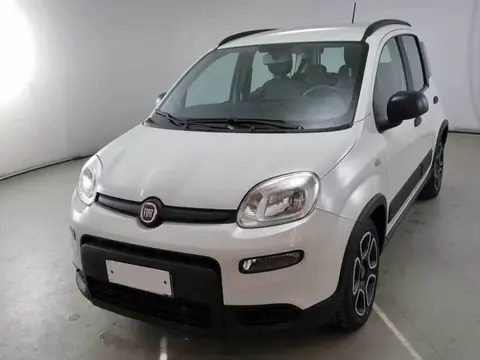 Used FIAT PANDA Hybrid 2021 Ad 