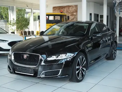 Annonce JAGUAR XJ Diesel 2019 d'occasion 