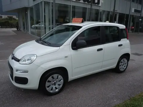 Annonce FIAT PANDA Essence 2019 d'occasion 