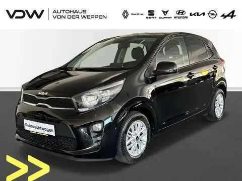 Used KIA PICANTO Petrol 2022 Ad 