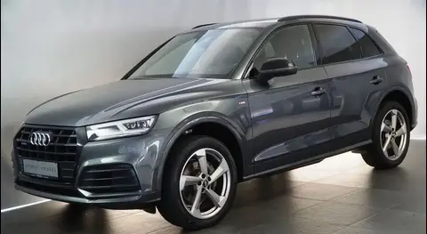 Used AUDI Q5 Diesel 2019 Ad 