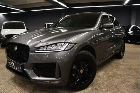 Used JAGUAR F-PACE Diesel 2018 Ad 