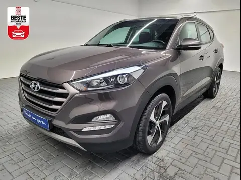 Used HYUNDAI TUCSON Diesel 2017 Ad 