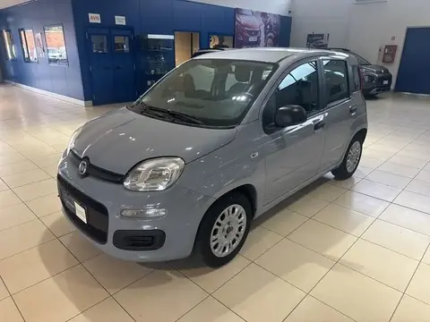 Used FIAT PANDA Hybrid 2020 Ad 