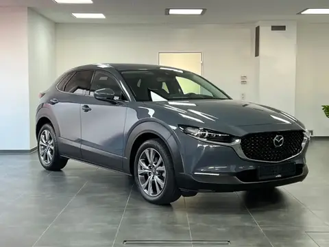 Annonce MAZDA CX-3 Essence 2019 d'occasion 