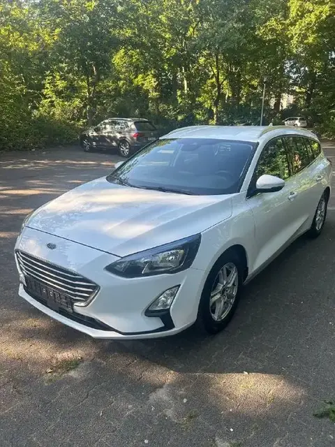 Used FORD FOCUS Diesel 2019 Ad 