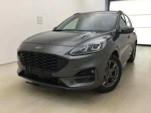 Used FORD KUGA Hybrid 2023 Ad 