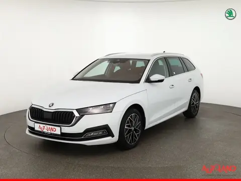 Annonce SKODA OCTAVIA Diesel 2023 d'occasion 