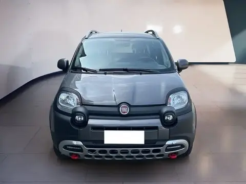 Used FIAT PANDA Hybrid 2022 Ad 