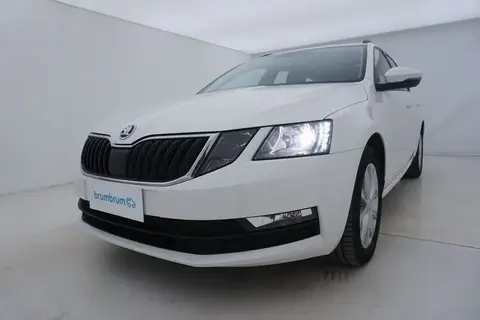 Annonce SKODA OCTAVIA Diesel 2020 d'occasion 