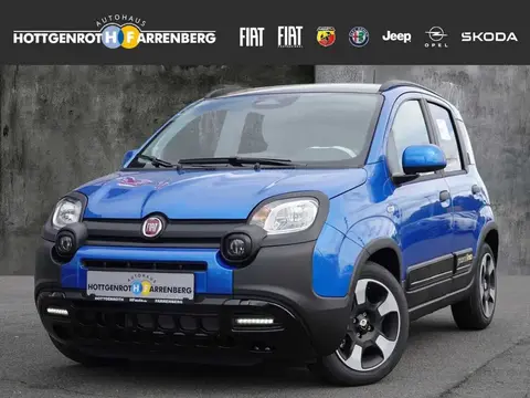 Annonce FIAT PANDA Essence 2024 d'occasion 