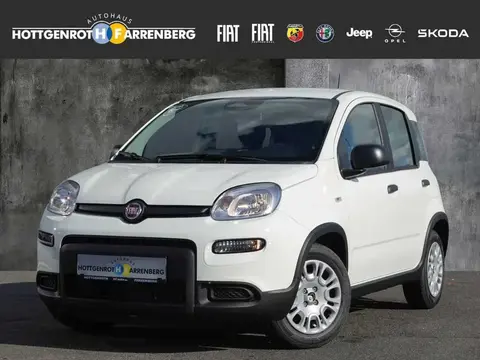 Annonce FIAT PANDA Essence 2024 d'occasion 