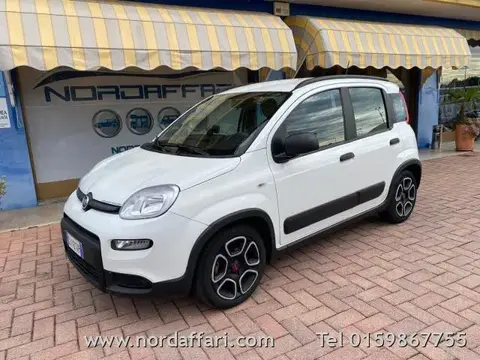 Annonce FIAT PANDA Hybride 2022 d'occasion 