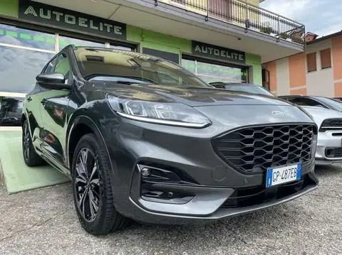 Used FORD KUGA Hybrid 2023 Ad 