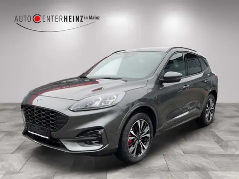 Annonce FORD KUGA Hybride 2024 d'occasion 