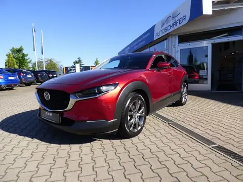 Used MAZDA CX-30 Petrol 2023 Ad Germany