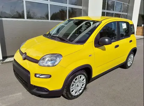 Annonce FIAT PANDA Essence 2024 d'occasion 