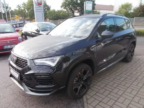 Annonce CUPRA ATECA Essence 2024 d'occasion 