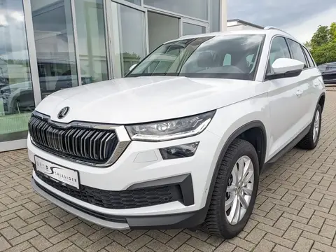 Used SKODA KODIAQ Diesel 2023 Ad 