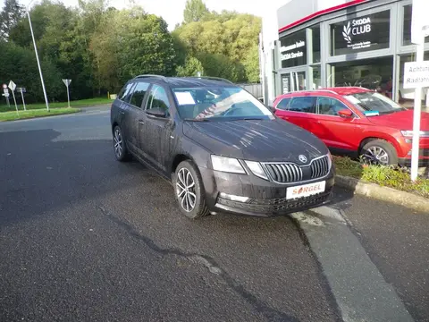 Annonce SKODA OCTAVIA Diesel 2019 d'occasion 