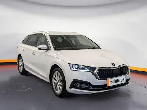 Annonce SKODA OCTAVIA Diesel 2023 d'occasion 