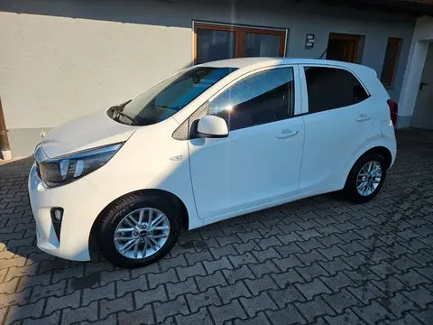 Used KIA PICANTO Petrol 2023 Ad Germany