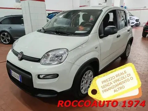 Annonce FIAT PANDA  2024 d'occasion 