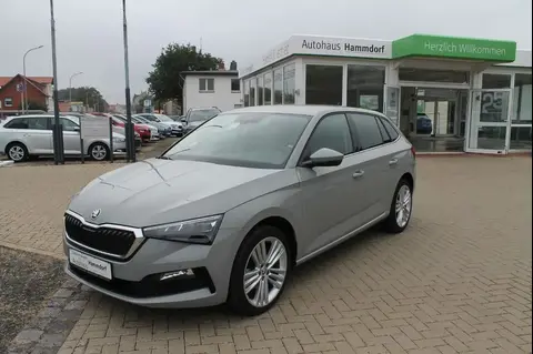 Used SKODA SCALA Petrol 2023 Ad 