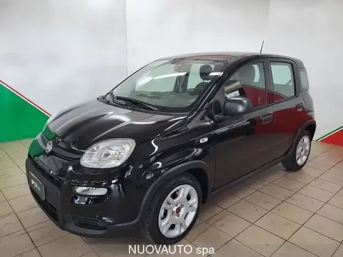 Annonce FIAT PANDA Hybride 2024 d'occasion 