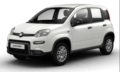 Used FIAT PANDA Petrol 2024 Ad 