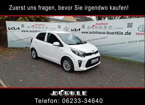 Used KIA PICANTO Petrol 2021 Ad 