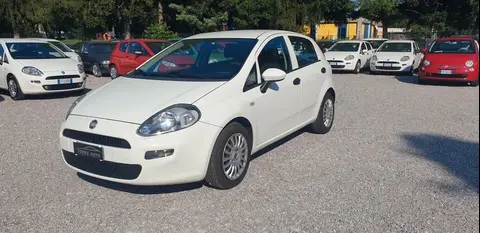 Annonce FIAT PUNTO Diesel 2018 d'occasion 