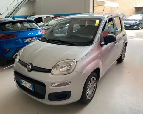 Used FIAT PANDA Petrol 2018 Ad 