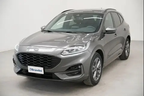 Used FORD KUGA Petrol 2021 Ad 