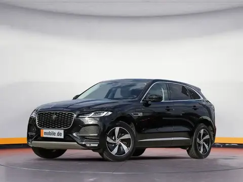 Used JAGUAR F-PACE Hybrid 2021 Ad 