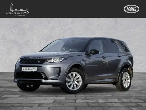 Used LAND ROVER DISCOVERY Hybrid 2021 Ad 