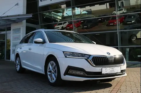 Annonce SKODA OCTAVIA Diesel 2022 d'occasion 