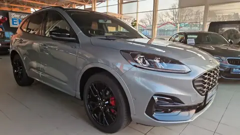 Annonce FORD KUGA Diesel 2024 d'occasion 