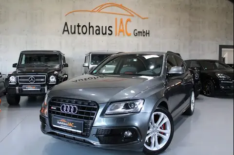 Annonce AUDI SQ5 Diesel 2016 d'occasion 