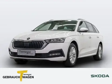 Annonce SKODA OCTAVIA Diesel 2020 d'occasion 