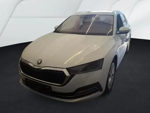 Annonce SKODA OCTAVIA Diesel 2020 d'occasion 