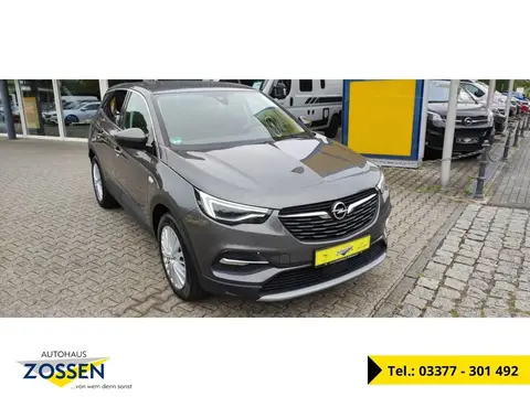 Used OPEL GRANDLAND Petrol 2020 Ad 