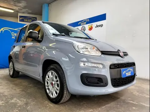 Used FIAT PANDA Petrol 2021 Ad 